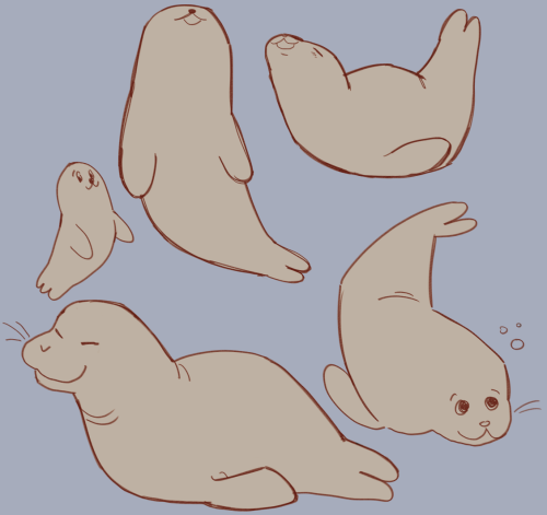puppypuppypuppypuppy:seal!seal!seal!