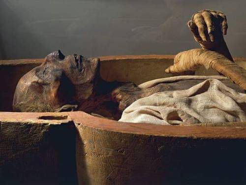 Mummy of Ramesses IIThe mummy of Ramesses II (r. ca. 1279-1213 BC) was among those found in the roya