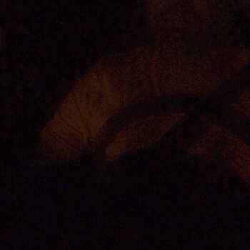 texasgiantandbulge:  Late night drive home from seeing the boy. Too bad we didn’t