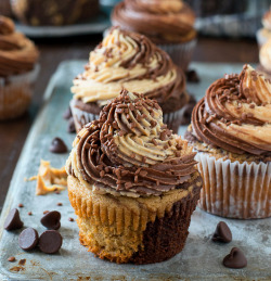 delicious-food-porn:Chocolate Peanut Butter Cupcakesyum