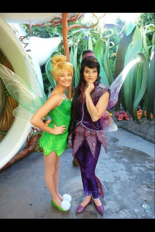 Disney fairies Tinkerbell and Vidia