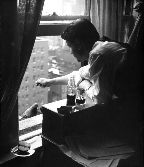 Sex afrouif: Nina Leen, young man feeding pigeons pictures