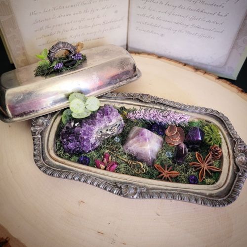 Antique butter dish crystal garden DM to purchase#witch #Wiccan #witches #pagan #pagans #bruja #br