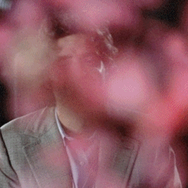 b62399567e2e856af51ad24c8a6a836c3e6cd162.gifv