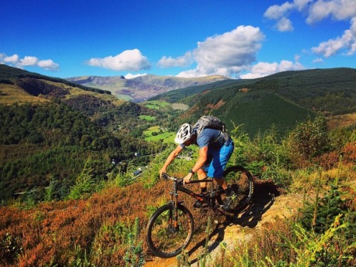 mtbcymru:A #tbt to warmer days riding in the Dyfi #ClimachX #Wales #findyourepic #mtb #adventure #ju