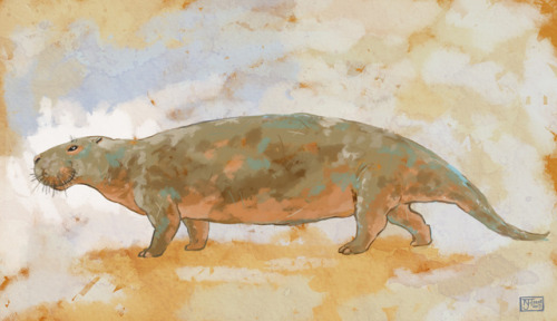 Pezosiren portelliExtinct Early EoceneTwo metres long and about as tall as pig, Pezosiren is a basal