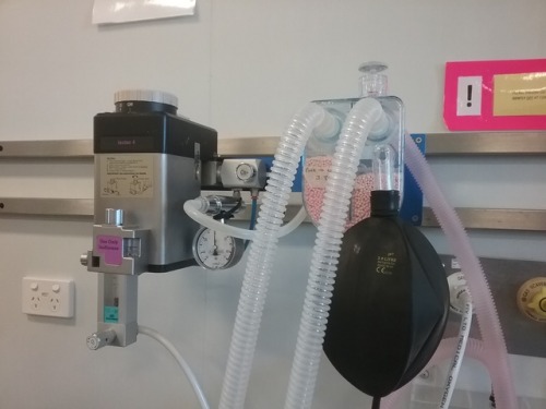 aloneveganvetstudent: The anaesthetic machine! A - Flow meter; measures and controls the flow of oxy