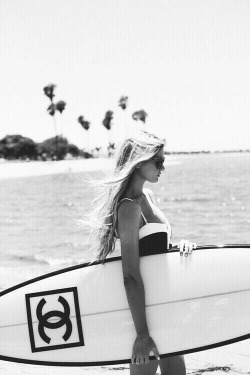 asurferdreams:  Surfing posts