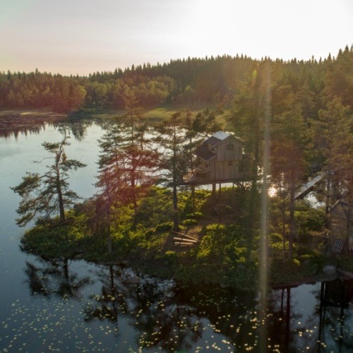 utwo:  Treehouse in Vest-Agder, Norway© hamaca reise