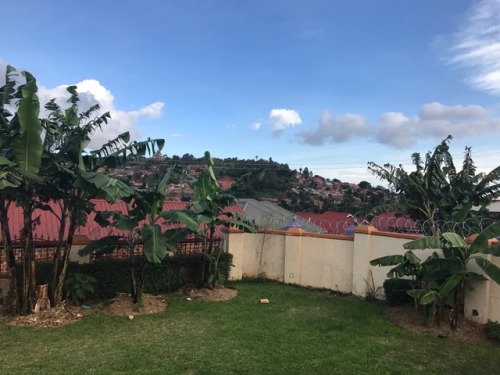 Pics of the hilly terrain in and around Kampala, porn pictures