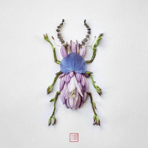 pr1nceshawn:Natura Insects – The delicate floral compositions by Raku Inoue.