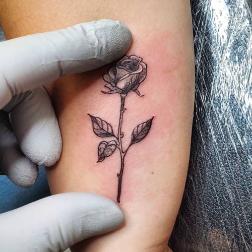 <p>Teeny tiny rose done today.   Thank you for coming in, it was great working with you!<br/>
.<br/>
#ladytattooer #thephoenix #copperphoenix #shelbyvilleindiana #indianapolistattoo #indylocal #do317 #indytattoo #circlecity #waverlycolorco #industryinks #yournewfavoriteink #artistictattoosupply #fkirons #indianaartist #wearesorrymom #rosetattoo #rose #tinytattoos #tinytattoo #finelinetattoo  (at Shelbyville, Indiana)<br/>
<a href="https://www.instagram.com/p/CRSIRkCr2bw/?utm_medium=tumblr">https://www.instagram.com/p/CRSIRkCr2bw/?utm_medium=tumblr</a></p>