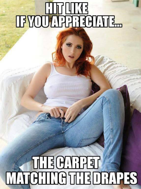sex-kink-porn:  twizztedsworld:    The ONLY way it should be!M  Especially with redheads.