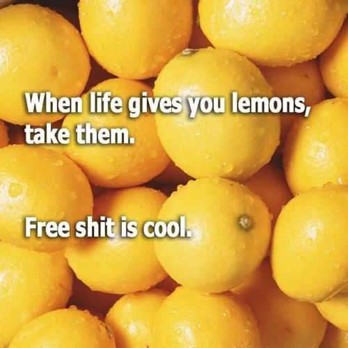 redheadedpixi69:  Lmao 