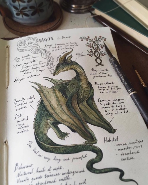 Dragon Study by Lily Seika Jones [source][ID: a coloured intricate ink drawing of a green-scaled dra