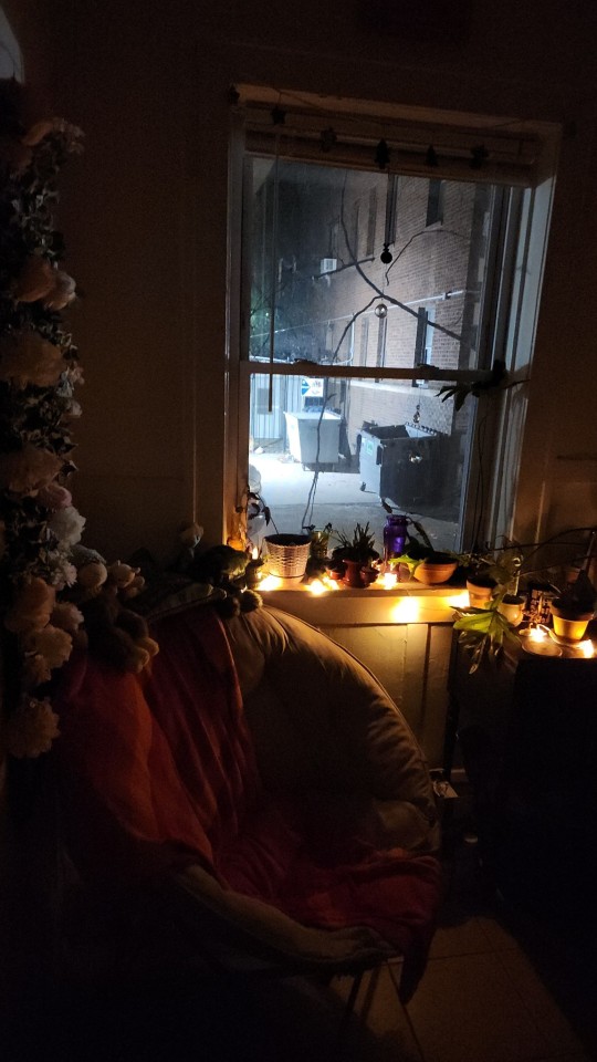 This Window Tried So Hard And Gave So Much Light And Joy Even Though The View Outside Was Just Trash