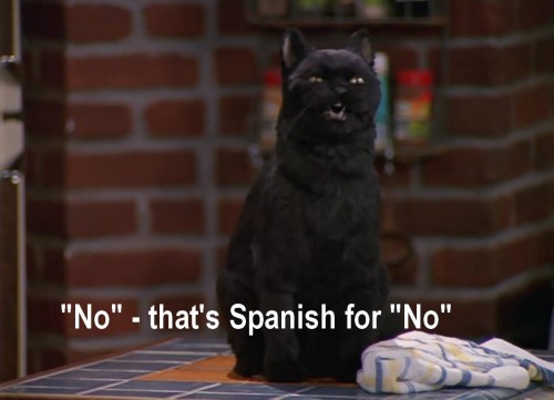 thebestworstidea: 30-space-chickens-go: Possibly one of the best characters to ever be on TV Salem w