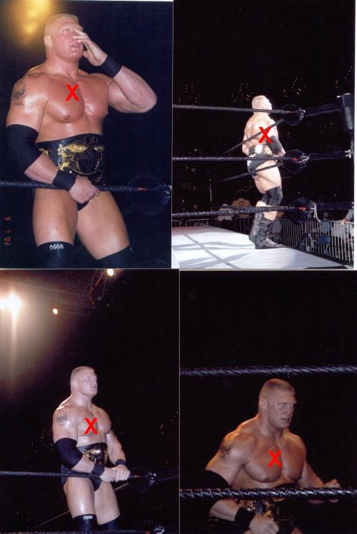 rwfan11:  Brock Lesnar 