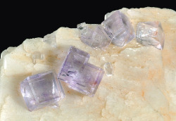 fuckyeahmineralogy:    Fluorite and Barite