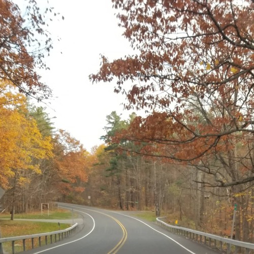 Autumn in Upstate New York, Sunday drives. 