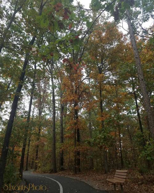 Catching fall colors on a woodsy trail#autumn #fallphotography #inthewoods #photographyeveryday #p