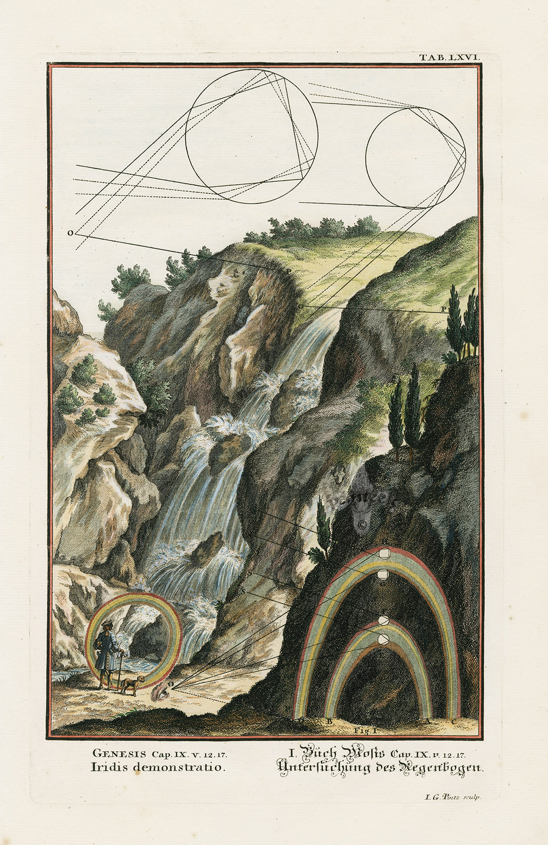 collectorsweekly:  “Physica Sacra,” a book of scientific evidence and theories