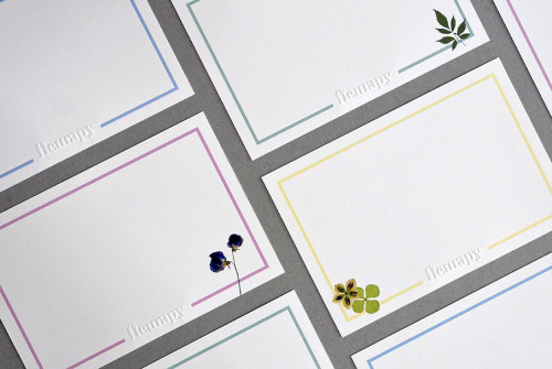 Branding for a floral arrangements and installations, design by Pepper &amp; Cinnamon