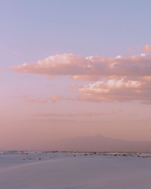 lionfloss:by coopa_j
