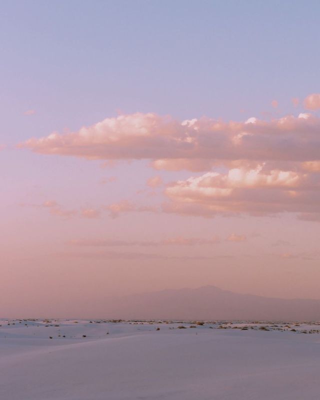 lionfloss:by coopa_j