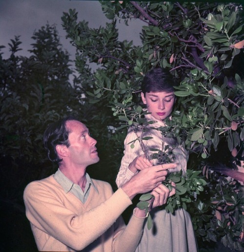 Audrey and Mel photographed in the garden of Villa Rolli,Albano,Italy,1955