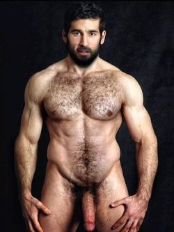 handyhairy.tumblr.com post 84517025439