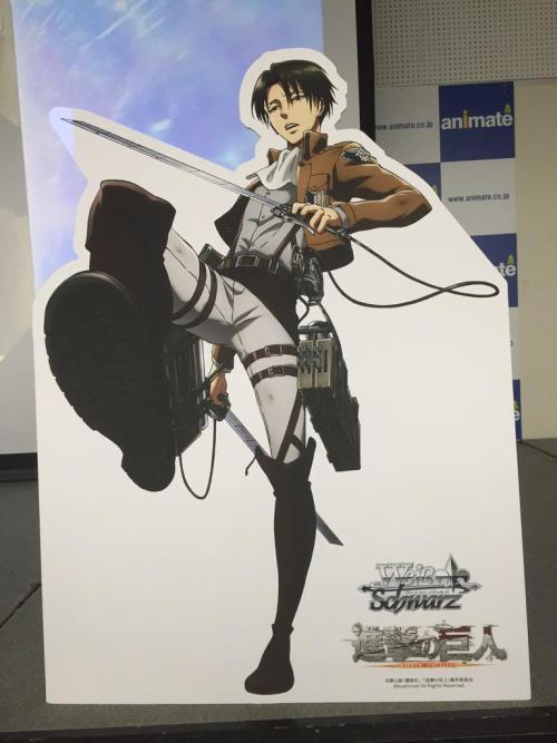 Today’s Weiβ Schwarz x Shingeki no Kyojin beginners’ workshop in the cardgame series’ main store in Ikebukuro features cardboard displays of Eren, Mikasa, and Levi! There is also a life-size version of the deck box for attendees to pose with.