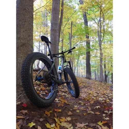 michianavelo:  Fatbike Sunday! #SpinZoneCycling #ridelots by olivervelo instagram.com/p/ujeU3