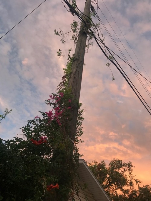 zkac:  walks home