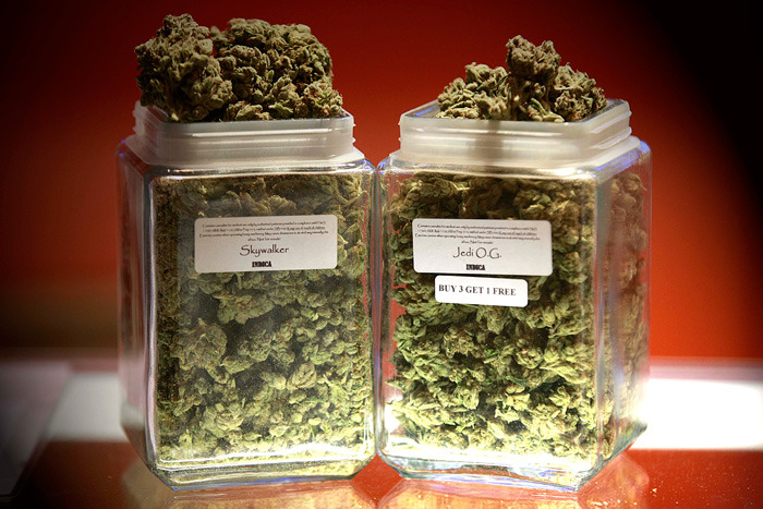 The Cannabis Queen