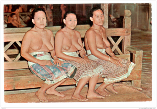 Sex Via DelcampeSea Dayak Maidens, Kuching/Sarawak. Picture pictures