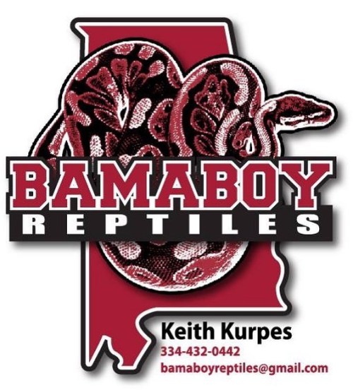 One of the first logos that I had done. #ballpythons #ballpythonbreeder #snakelogo #logo #reptilelog