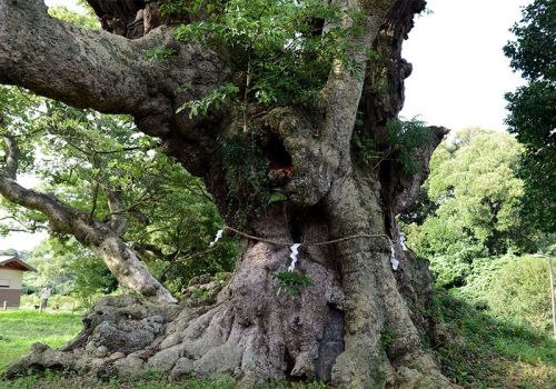 Yorishiro: objects (natural or manmade) in Shinto which divine spirits are drawn towards/inhabit.