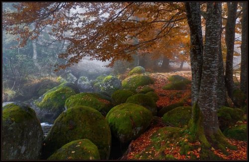 SvetoslavBulgaria / Vitosha