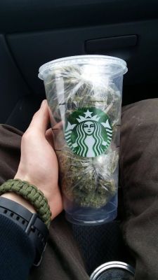 reddlr-trees:  When your dealer is also a barista.