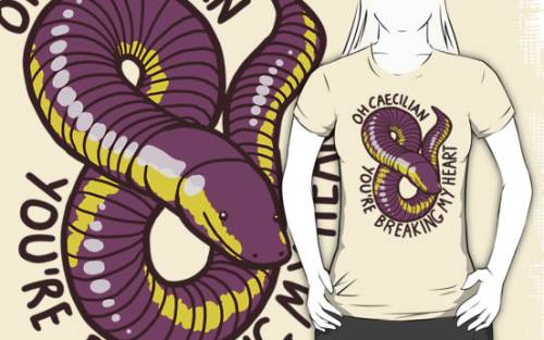 palaeoplushies:A number of t-shirt designs are available on my Redbubble! They’re also available on 