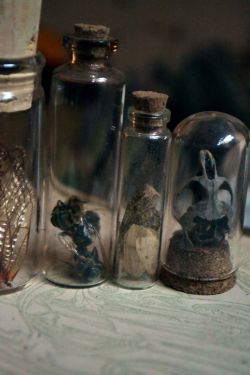 Wolftea:  My Own Homemade Curio Vials And Domes.  