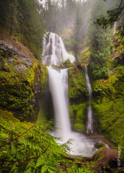 woodendreams:  (by Michael Flaherty) 