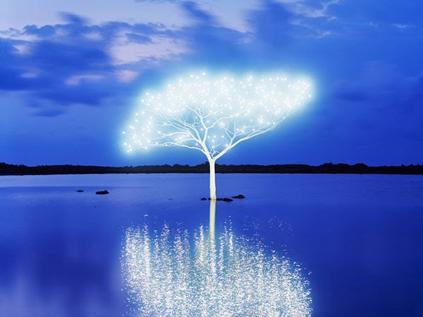 from89:   Tree of Life in Island by Lee Jeong Lok  You Can Also Find Me -: Skumar’s :- Twitter | Facebook | We