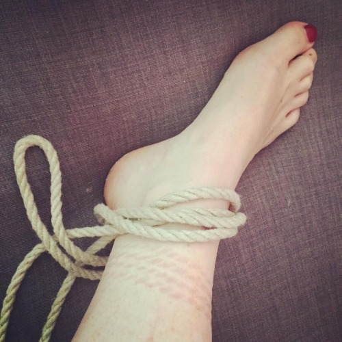 Self training #training #shibari #ripes #bondage #futomomo