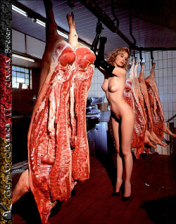 meatgirlkimmi.tumblr.com post 150630694973