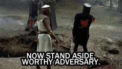 leopardheart27:  Let us strive to be as determined as the black knight in all our ventures. 