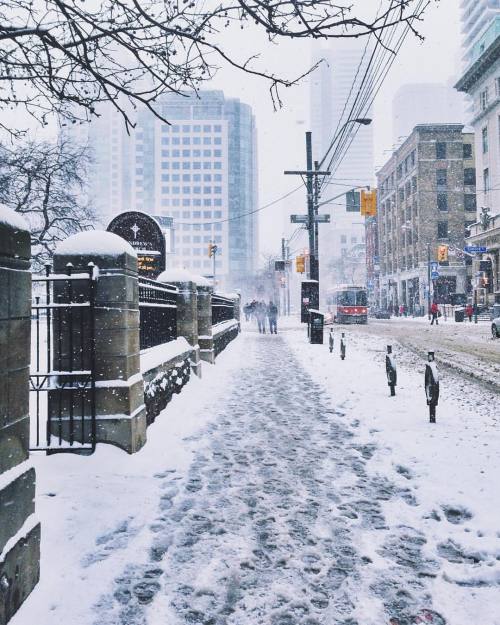 joyceinparis:Walking around pretty snowy Toronto yesterday ❄️ #latergram #city #snow #toronto (&agra