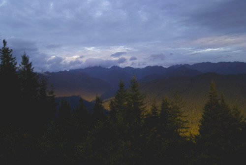 northwezt:Olympic National Park | Washington ➤ Alesha Brown (northwezt)