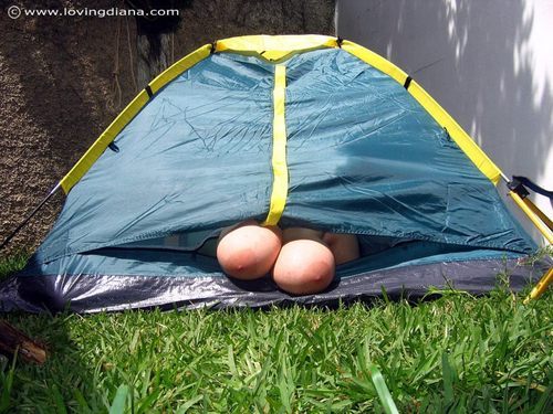 biggersalwaysbetter:  Peek-a-Boobs     Size matters!! Follow us below for big boobs,